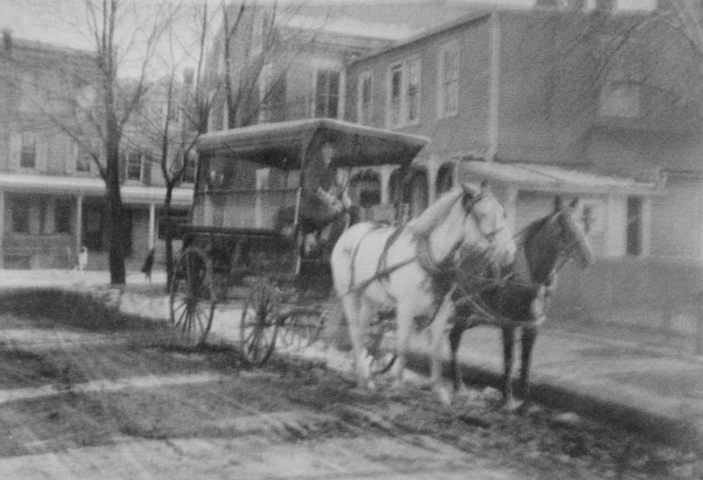 A horse-drawn commercial delivery wagon in Allentown, Pennsylvania, photographed in 1905. Two draft horses are harnessed to an enclosed wooden van.